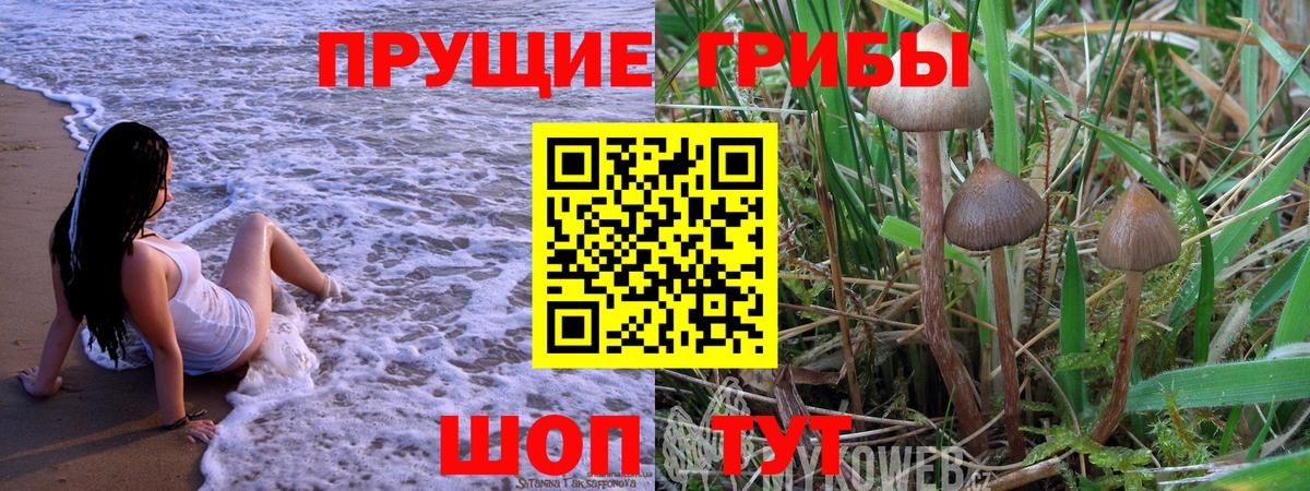 Псилоцибиновые грибы Psilocybine cubensis  Вход с VPN  Апрелевка 